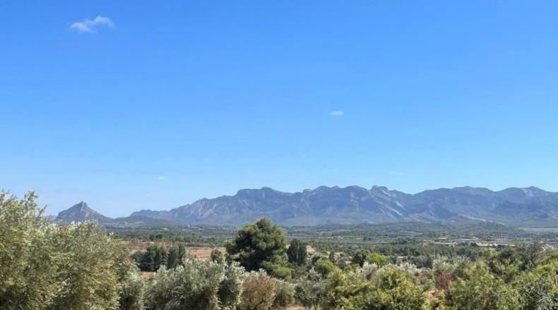 Teruel - Cretas - 31481m2