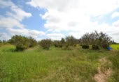 Detached villa with land for sale on España, Sant Jaume d'Enveja, ref: TR299531 photo