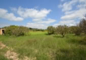 Detached villa with land for sale on España, Sant Jaume d'Enveja, ref: TR299531 photo