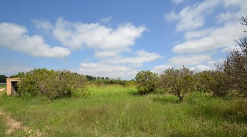 Tarragona - Sant Jaume d'Enveja - 4964m2