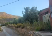 Detached villa with land for sale on España, Fondón, ref: TR296265 photo