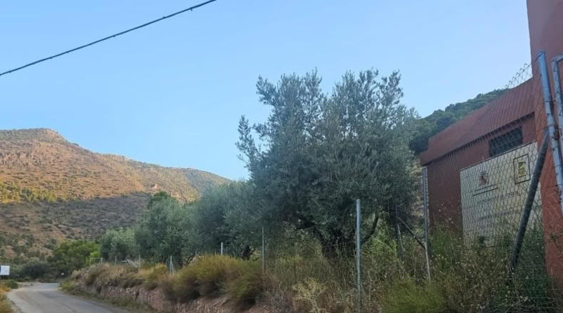 Lugo - Fondón - 3580m2