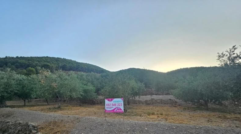 Lugo - Fondón - 3580m2