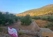 Detached villa with land for sale on España, Fondón, ref: TR296265 photo
