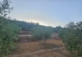 Detached villa with land for sale on España, Fondón, ref: TR296265 photo