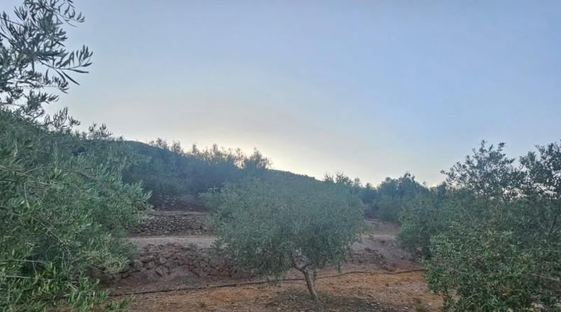 Lugo - Fondón - 3580m2