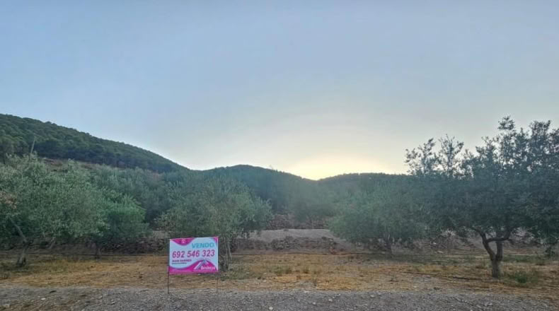Lugo - Fondón - 3580m2