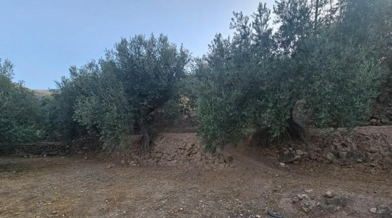 Lugo - Fondón - 3580m2