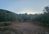 Detached villa with land for sale on España, Fondón, ref: TR296265 photo