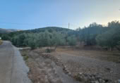 Detached villa with land for sale on España, Fondón, ref: TR296265 photo