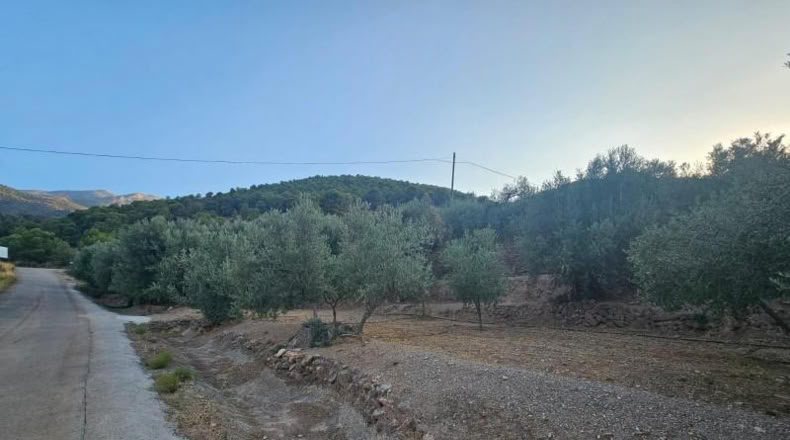 Lugo - Fondón - 3580m2