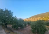 Detached villa with land for sale on España, Fondón, ref: TR296265 photo