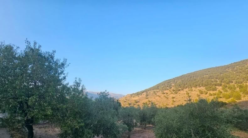 Lugo - Fondón - 3580m2
