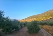 Detached villa with land for sale on España, Fondón, ref: TR296265 photo