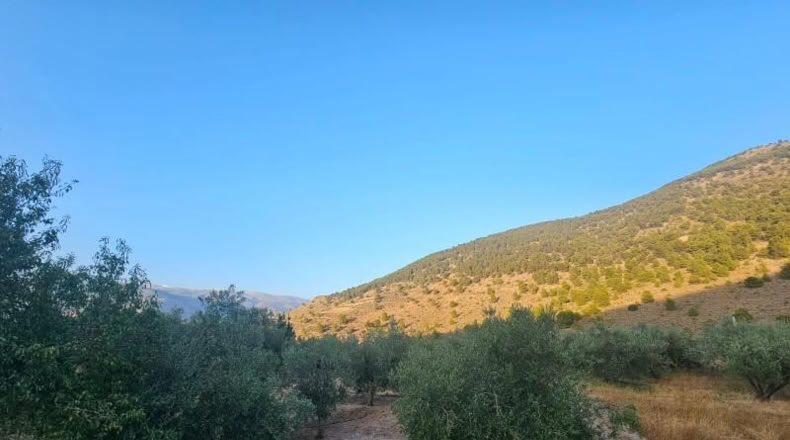 Lugo - Fondón - 3580m2