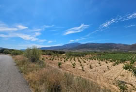 Laujar de Andarax 6295&nbsp;m² 