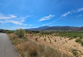 Xalet independent amb terreny en venda a la España, Laujar de Andarax, ref.: TR296922 foto