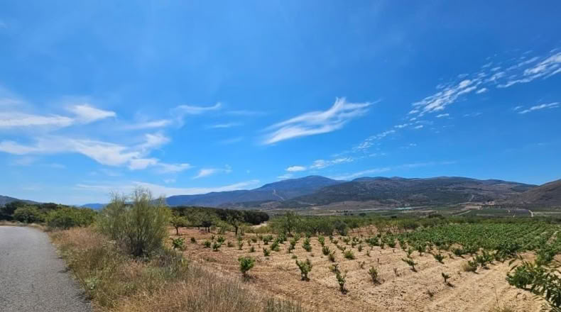Almeria - Láujar de Andarax - 6295m2