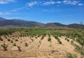 Xalet independent amb terreny en venda a la España, Laujar de Andarax, ref.: TR296922 foto