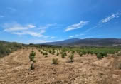 Xalet independent amb terreny en venda a la España, Laujar de Andarax, ref.: TR296922 foto