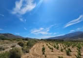 Xalet independent amb terreny en venda a la España, Laujar de Andarax, ref.: TR296922 foto