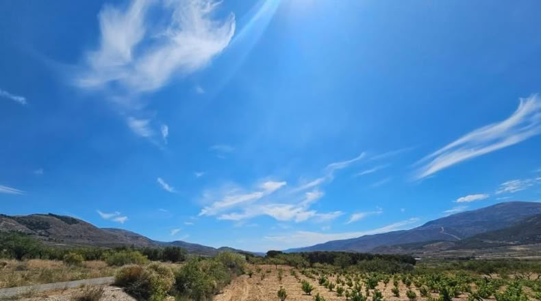 Almeria - Láujar de Andarax - 6295m2