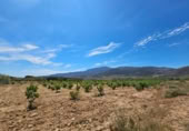Xalet independent amb terreny en venda a la España, Laujar de Andarax, ref.: TR296922 foto