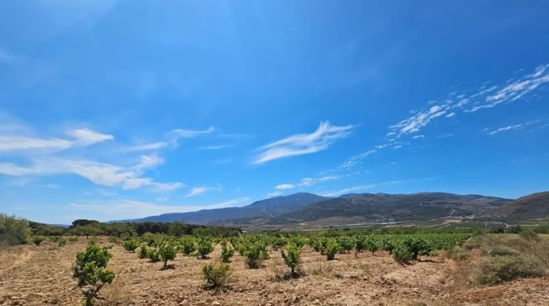 Almeria - Láujar de Andarax - 6295m2