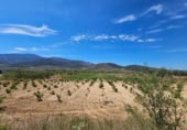 Xalet independent amb terreny en venda a la España, Laujar de Andarax, ref.: TR296922 foto