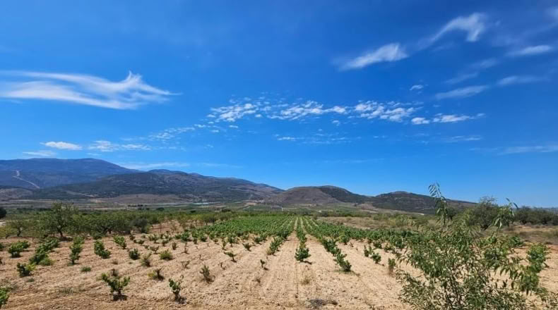 Almeria - Láujar de Andarax - 6295m2