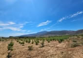 Xalet independent amb terreny en venda a la España, Laujar de Andarax, ref.: TR296922 foto