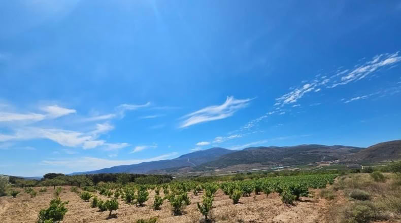 Almeria - Láujar de Andarax - 6295m2