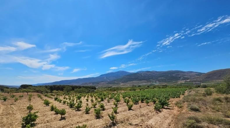 Almeria - Láujar de Andarax - 6295m2