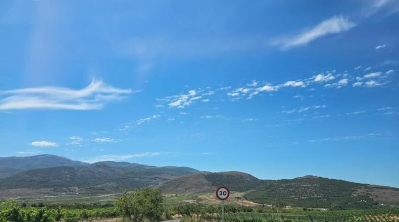 Almeria - Láujar de Andarax - 6295m2