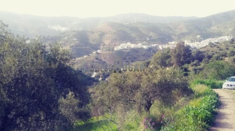 Malaga - Málaga - 3200m2