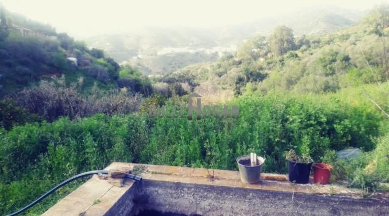 Malaga - Málaga - 3200m2