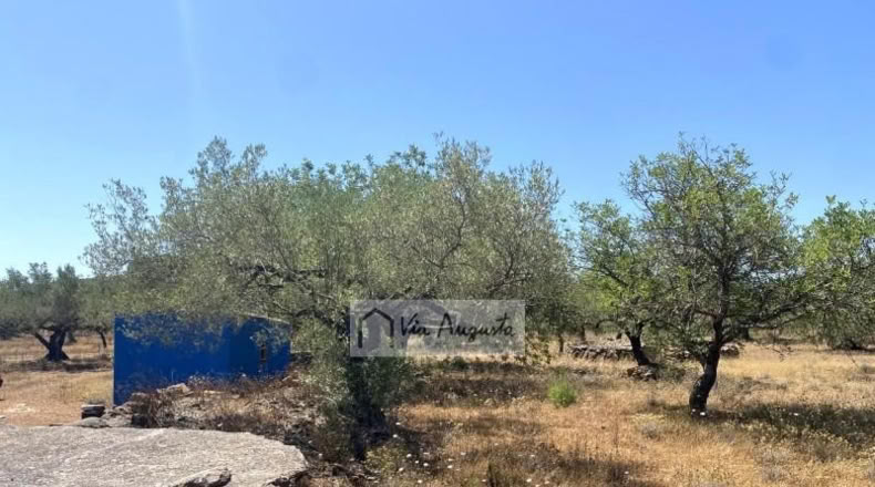 Tarragona - el Perelló - 6051m2