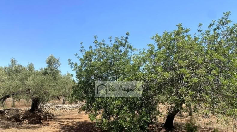 Tarragona - el Perelló - 6051m2