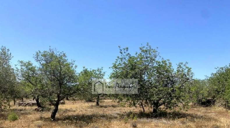 Tarragona - el Perelló - 6051m2