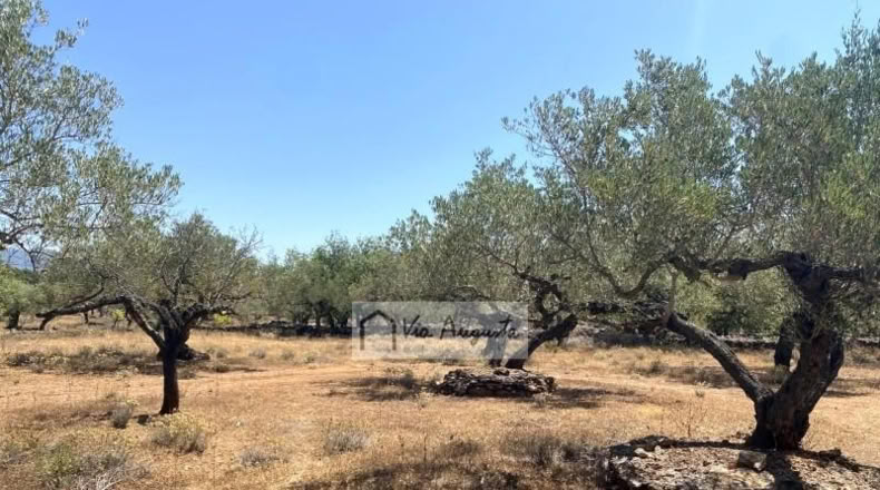 Tarragona - el Perelló - 6051m2