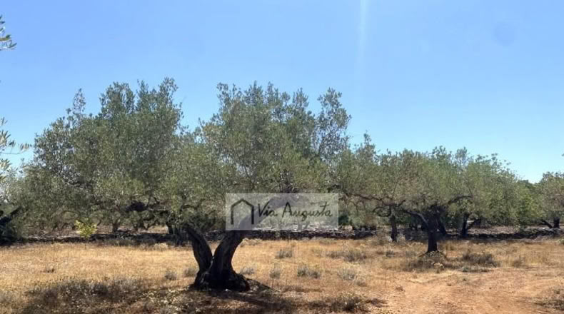 Tarragona - el Perelló - 6051m2