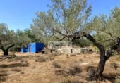 Земля на продажу у города el Perelló Фото