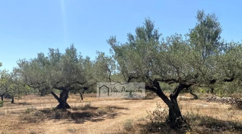 Tarragona - el Perelló - 6051m2