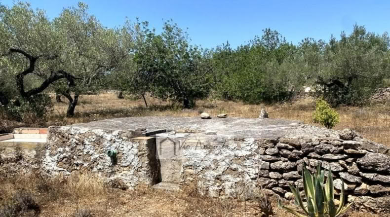 Tarragona - el Perelló - 6051m2