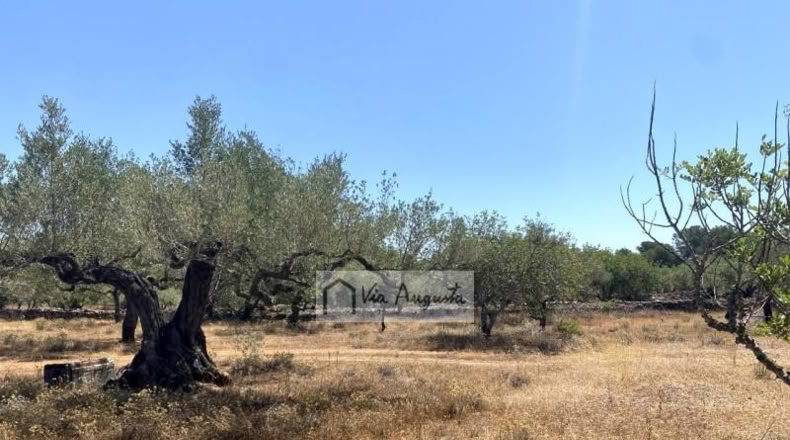 Tarragona - el Perelló - 6051m2