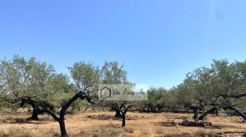 Tarragona - el Perelló - 6051m2