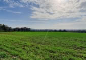 Non-developable land for sale on España, San José del Valle, ref: TR337374 photo