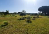 Non-developable land for sale on España, San José del Valle, ref: TR337374 photo