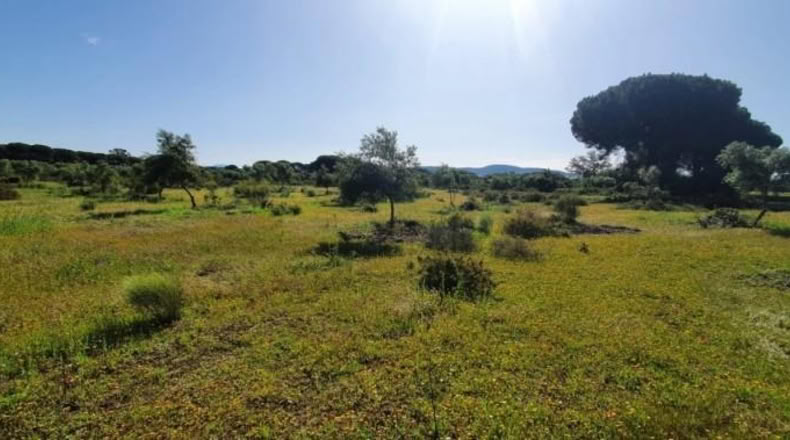 Кадис - San José del Valle - 4000m2