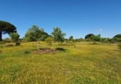 Non-developable land for sale on España, San José del Valle, ref: TR337374 photo